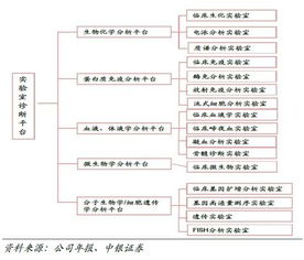 迪安診斷 基本概況、商業(yè)模式與產(chǎn)業(yè)生態(tài)分析